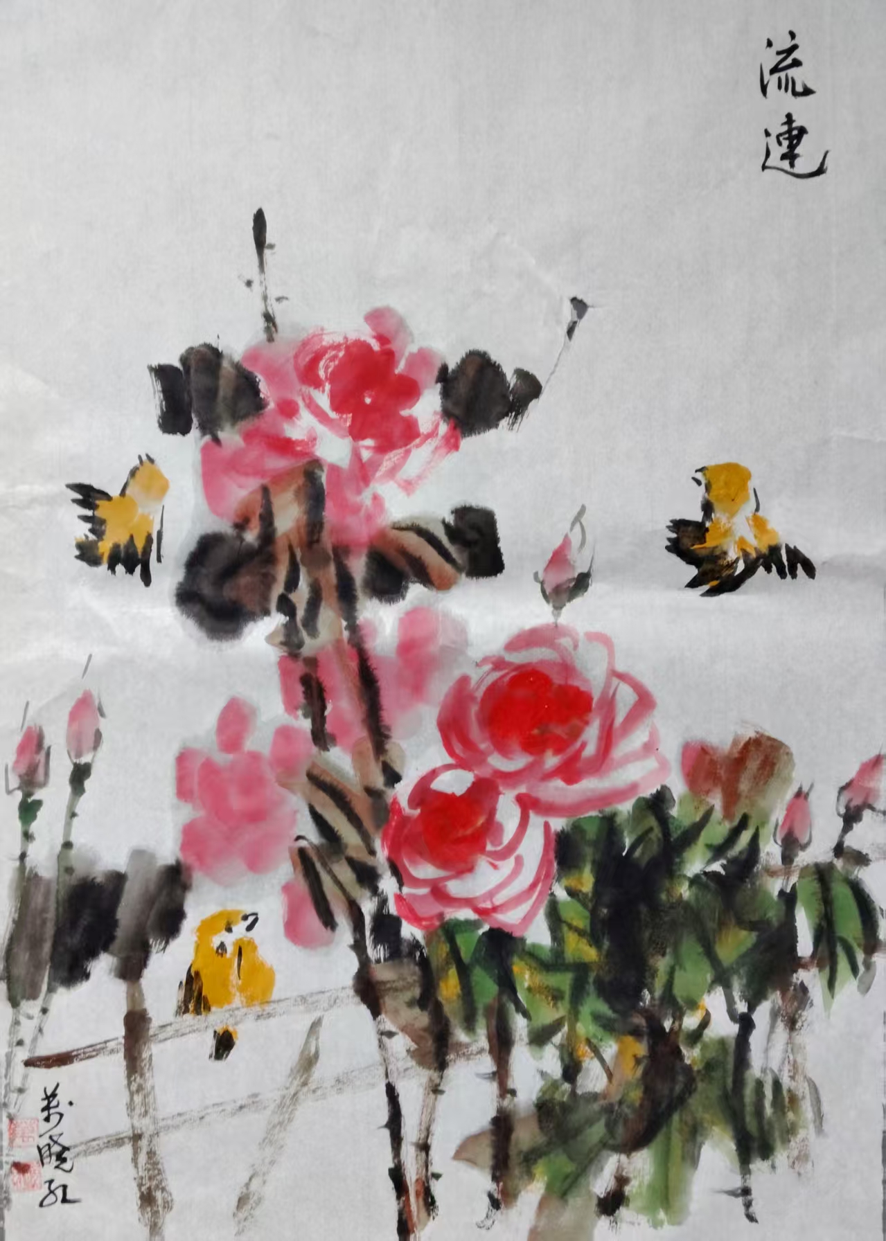 花语-迎春曲-图片1